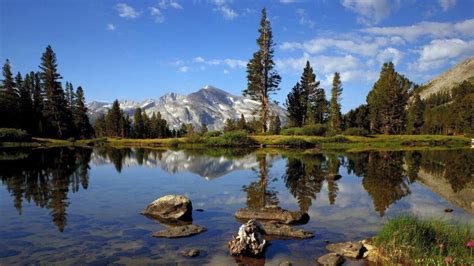 Landscapes California Yosemite National Park Free Pictures