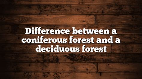 Difference Between A Coniferous Forest And A Deciduous Forest
