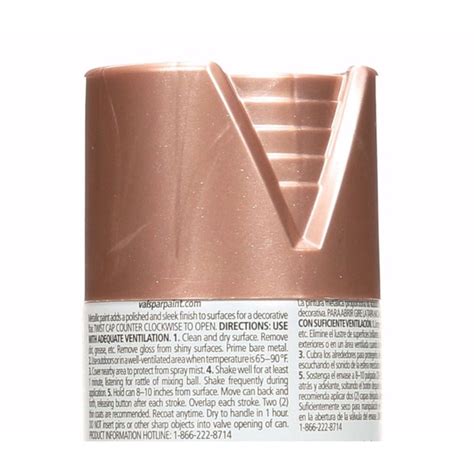 When the walls of your home are in desperate need of a new color palette, you might be tempted to just pick up a brush and go. Shop Valspar 12-oz Rose Gold Spray Paint at Lowes.com | Rose gold wall paint, Spray paint diy ...