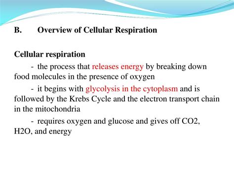 Ppt Chapter 9 Cellular Respiration Powerpoint Presentation Free