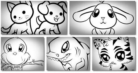 21 How To Draw Cute Animals Videos Pics Temal