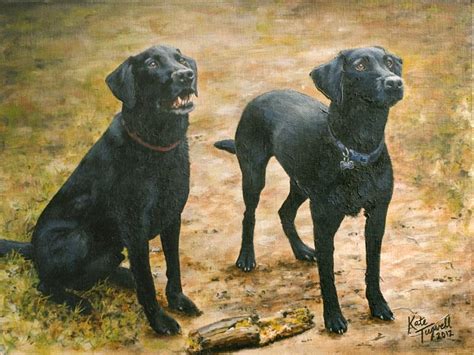Kate Tugwell Portrait Artist Two Black Labradors