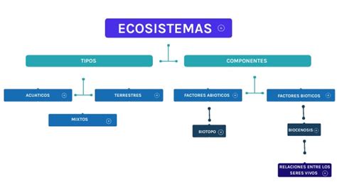 Mapa Conceptual Ecosistemas