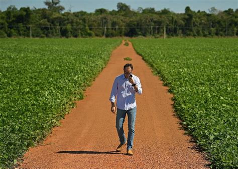 Business Booming For Brazil Farmers But Deforestation Looms Large