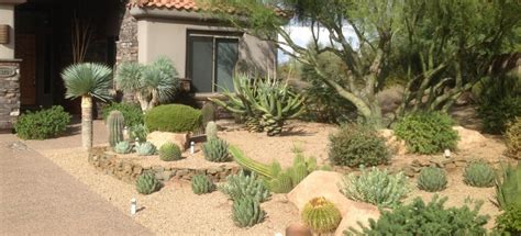 All of the popular varieties, as well as some lesser known & unique types. Xeriscaping Interest: Landscaping Scottsdale | Desert ...