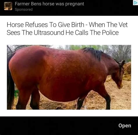 Farmer Bens Horse Was Pregnant Sponsored Horse Refuses To Give Birth
