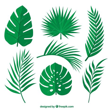 Premium Vector Green Leaves Set Of Palm Trees