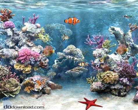 Free Aquarium Fish Screensaver Image Show Realistic