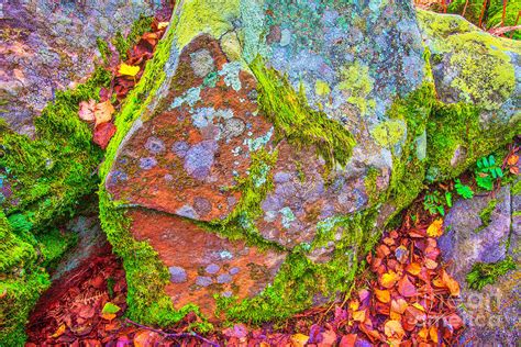 Autumn Rock Photograph By Jean Luc Bohin Fine Art America