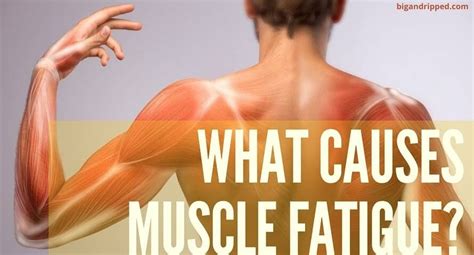 Muscle Fatigue What Is It And How To Recover From Muscle Weakness