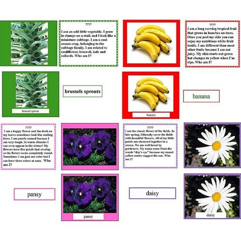 Set Of Botany Who Am I 3 Part Cards Montessori Materials Botany