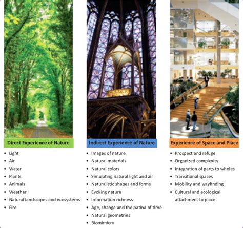 Experiences And Attributes Of Biophilic Design 26 Download