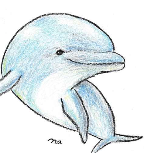Dolphin Rdrawing