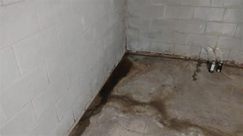 After scrubbing the entire concrete basement floor using hot water and a scrubbing brush, use clean water and a wet mop to. Basement Waterproofing - Waterproofing a Basement in Grand ...