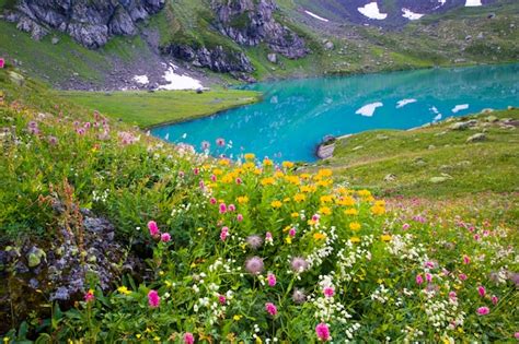 Premium Photo Alpine Mountain Lake Landscape And View Blue Beautiful