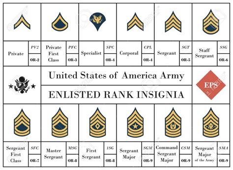 Vector Collection Of United States Of America Army Enlisted Rank