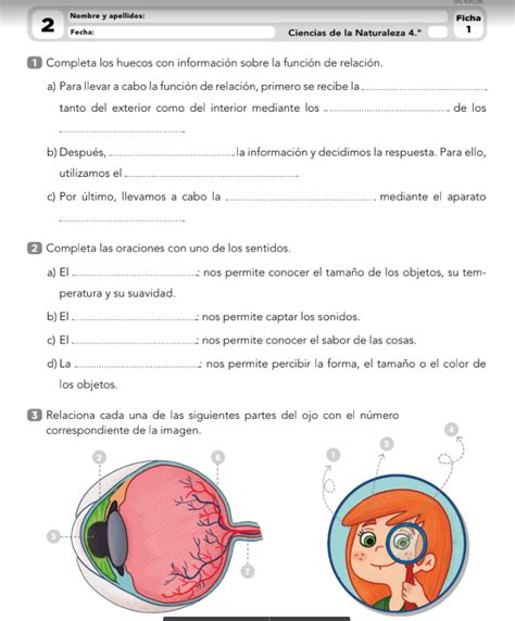 🥇【 Ciencias Naturales 4 Primaria Anaya Examenes 】pdf Descargar Word