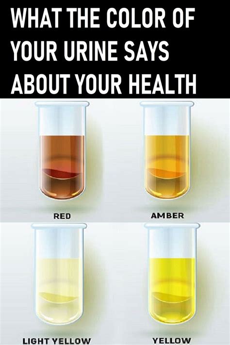 What The Color Of Your Urine Says About Your Health Herbalism Health