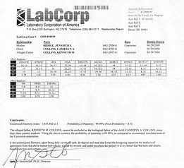 Printable Fake Paternity Test Results Template