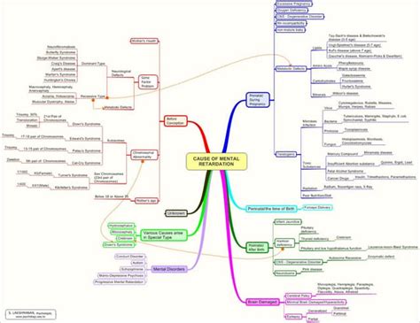 Cause Of Mental Retardation In Mind Mapping