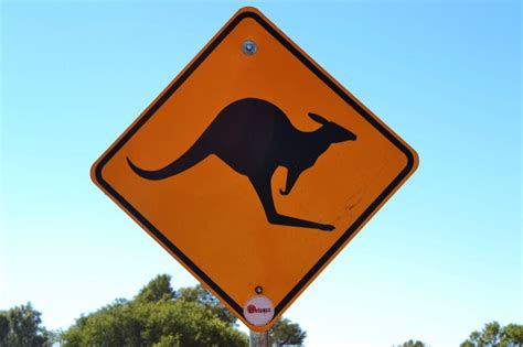 Wildlife Warning The Wonderful World Of Australian Road Signs Green