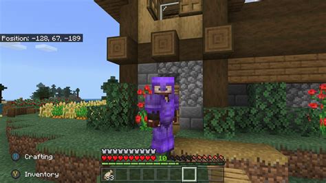 I Just Got Full Enchanted Netherite Armor In My Minecraft Survival