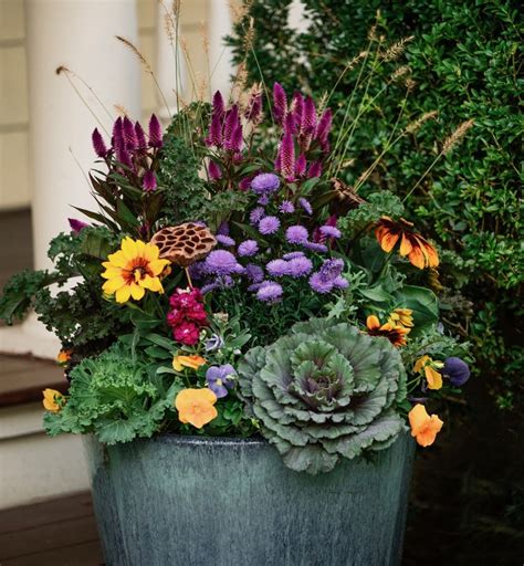 Cool Fall Flowers Container In 2021 Container Flowers Fall Container