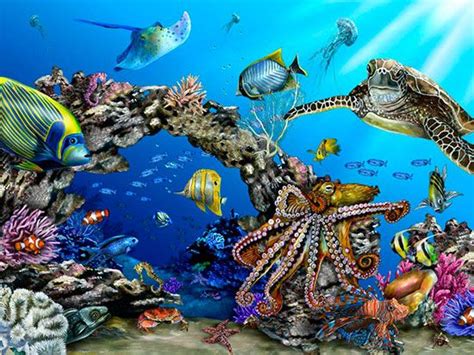 Underwater Murals And Sea Life Wallpaper Murals Your Way Key West