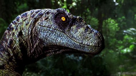 Top 10 Facts About Velociraptors You Didnt Know Jurassic World