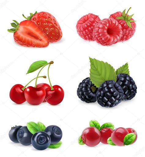 Forest Berry Sweet Fruit Realistic Illustration 3d Vector Icon Set