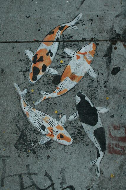 Koi Koi Painting Pavement Art Murals Street Art