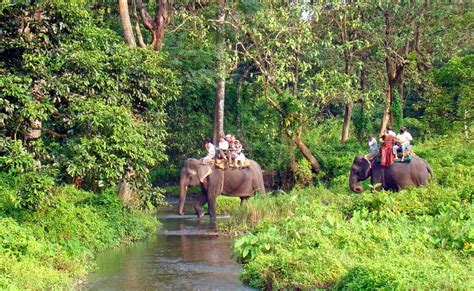 10 Best National Parks And Wildlife Sanctuaries In East India