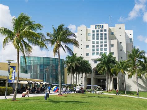 Fiu Among Top Performing Public Universities In Florida Miamis