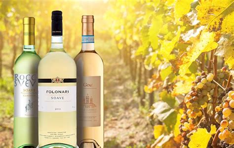 Italian White Wines 37 White Wine Types In Italy Tasteatlas