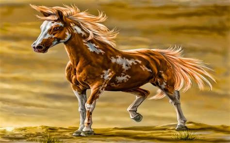 Beautiful Horse Wallpaper 66 Images