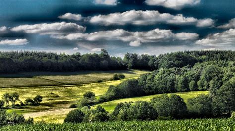 Wald Und Wiese Foto And Bild Landschaft Äcker Felder And Wiesen Natur