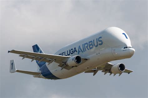 The beluga is actually a modification of different airbus model. Airbus A300-600ST Beluga - Wikipedia