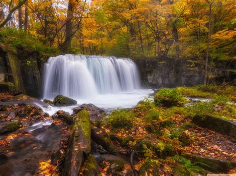 Nature Forest Autumn Amazing Beauty Waterfall Landscape