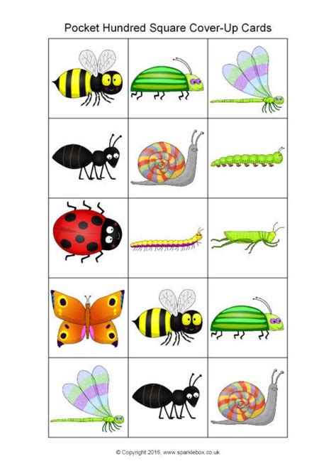 Minibeast Themed Pocket Hundred Square Cover Up Cards Sb11578 Kids