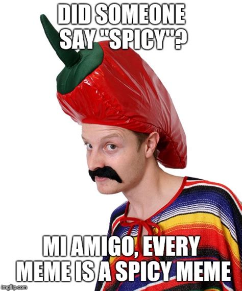 Plz More Spicy Memes Imgflip