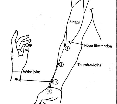 Locate Acupressure Points 1 Learn Self Healing Techniques Online