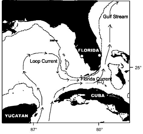 Diagram Of Surface Currents Adjacent To Peninsular Florida Adapted