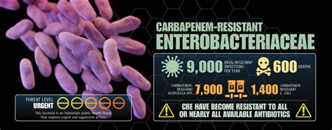 Biggest Threats Antibioticantimicrobial Resistance Cdc