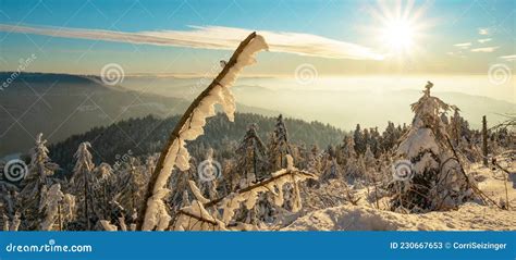 Stunning Background Panorama Of Snowy Frozen Landscape Snowscape In