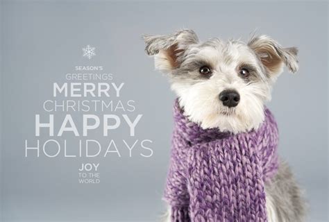 Happy Holidays Minneapolis Saint Paul Minnesota Dog And Pet