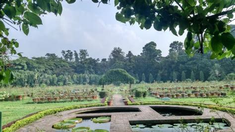 national botanical garden dhaka city 2021 all you need to know before you go with photos