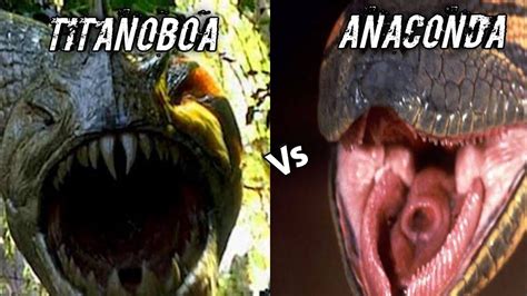 Titanoboa Vs Anaconda Kaun Jitega Shorts Youtube