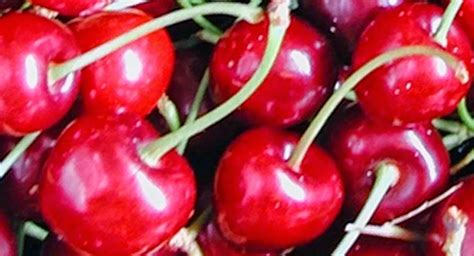 ragam manfaat buah ceri bagi kesehatan pospopulers