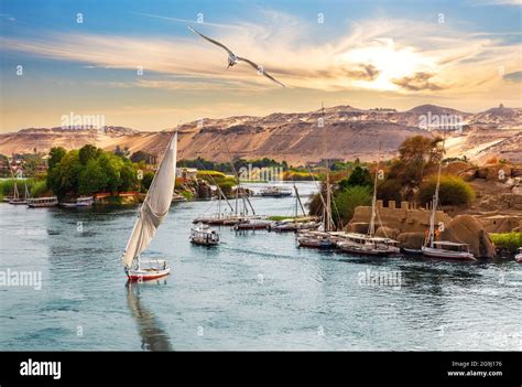 Nile River Aswan Luxury High Resolution Stock Photography And Images