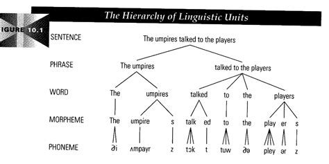 Linguistic Phonology Comparing Both With Images Linguistics